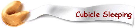 Cubicle Sleeping